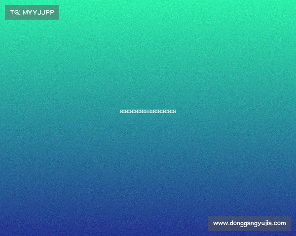 费德勒纪念赛事盛大开幕 致敬网球传奇与辉煌生涯 费德勒纪念赛事盛大开幕 致敬网球传奇与辉煌生涯